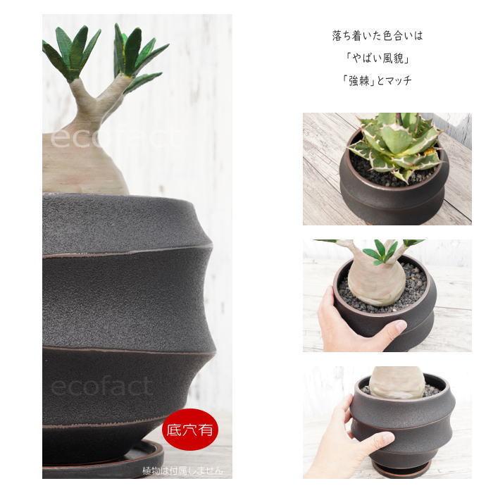 口径19cm植木鉢多肉塊根観葉植物ハンドメイド陶器陶芸 陶器鉢 植木鉢 ミニポット 底穴あり 皿付 ループ φ19cm プランター