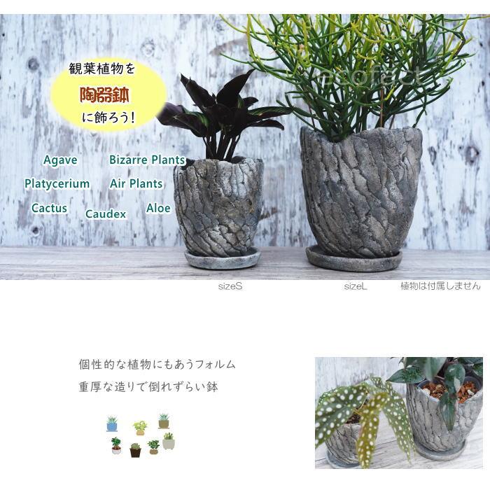 セメント鉢 植木鉢 ミニポット 底穴あり 皿付 クリフS φ12.5cm
