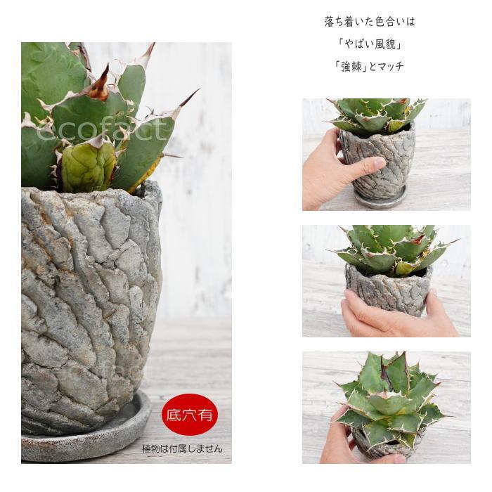 セメント鉢 植木鉢 ミニポット 底穴あり 皿付 クリフS φ12.5cm