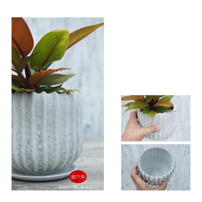 フラワーポット 植木鉢 おしゃれ 陶器鉢 ホワイト 白 メレンゲ φ14cm