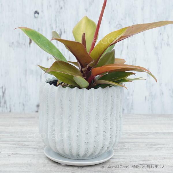 フラワーポット 植木鉢 おしゃれ 陶器鉢 ホワイト 白 メレンゲ φ14cm
