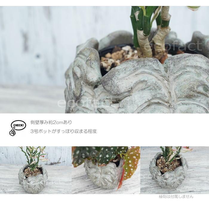 鉢カバー 植木鉢 おしゃれ セメント鉢 リーフ モチーフ φ16(10) cm