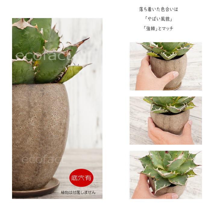 陶器鉢 植木鉢 ミニポット 底穴あり 皿付 ストーンエッグ φ11cm