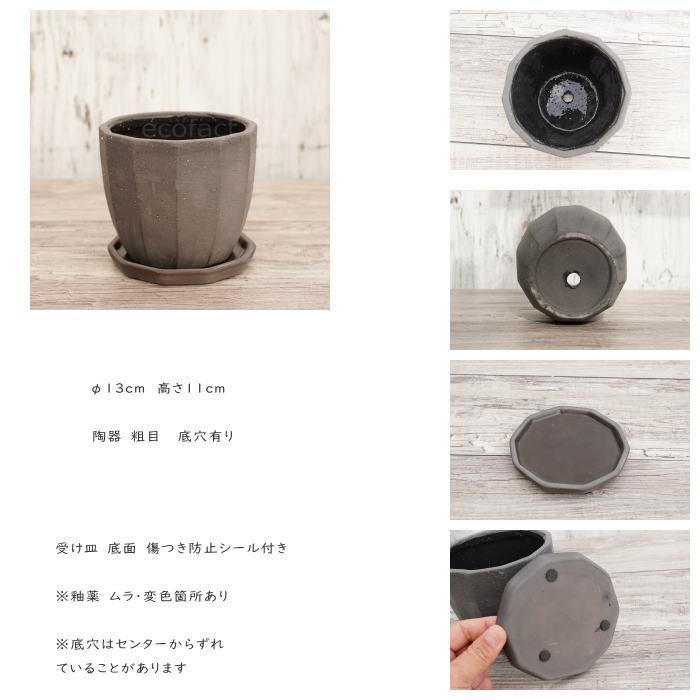 陶器鉢 植木鉢 ミニポット 底穴あり 皿付 粗目十角 黒 φ13cm
