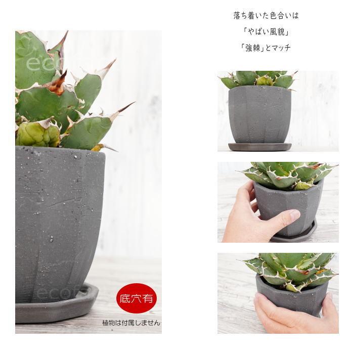 陶器鉢 植木鉢 ミニポット 底穴あり 皿付 粗目十角 黒 φ13cm