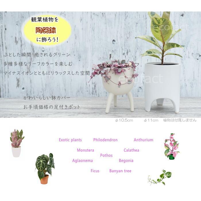 鉢カバー フラワーポット 植木鉢 おしゃれ 陶器鉢 ホワイト 白 ボール