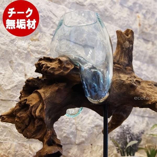 RainForest パルダリウムケージプロ 30×30×45 カエルケージ RainForest