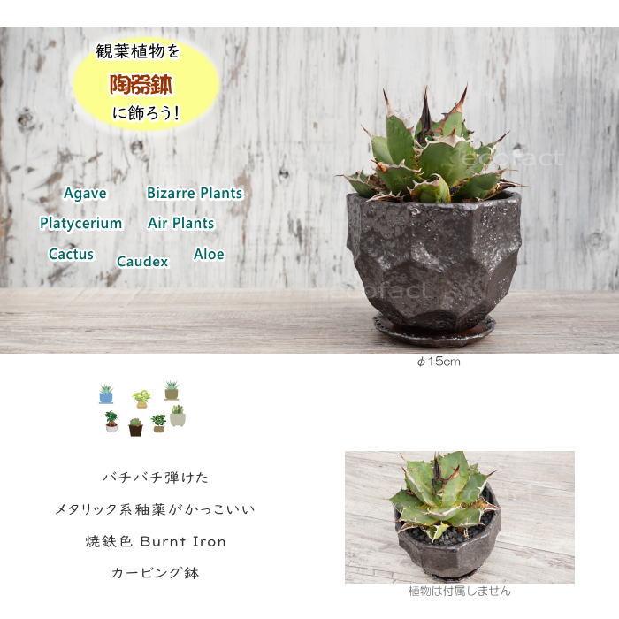 陶器鉢 植木鉢 カービングポット メタルM （焼鉄色 ）底穴あり 皿付