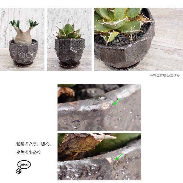 陶器鉢 植木鉢 カービングポット メタルM （焼鉄色 ）底穴あり 皿付