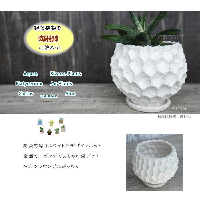 陶器鉢 植木鉢 カービングポット 球体型（バニラホワイト ）底穴あり