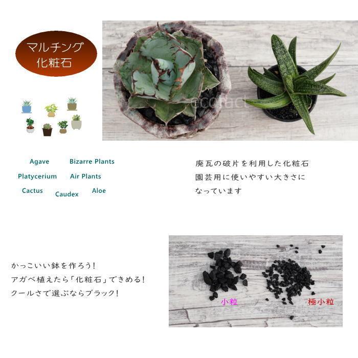 化粧石 黒 飾り石 小粒（約5mm〜7mm）500g 化粧砂 カワラエクラ