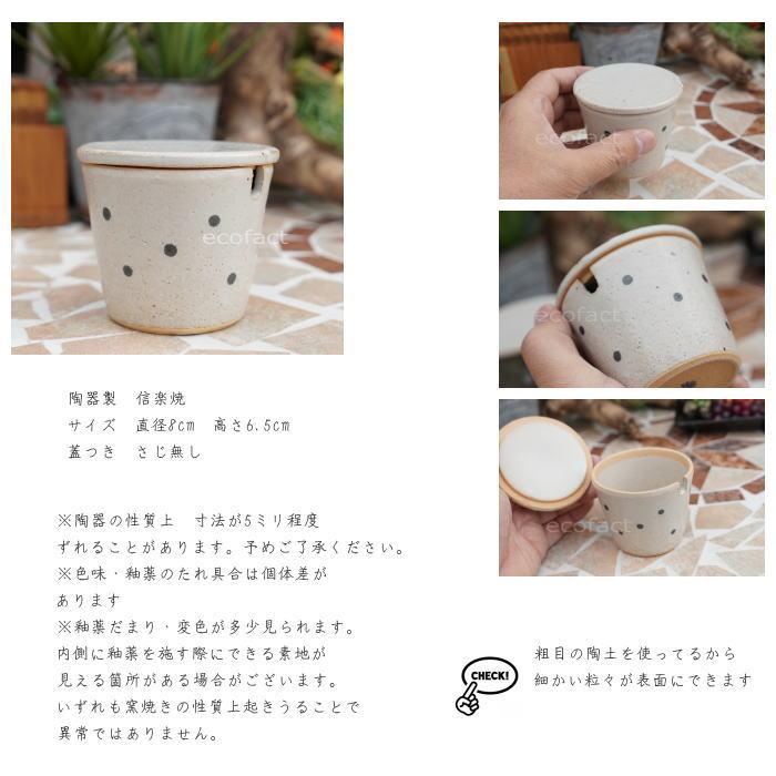 おしゃれ シュガーポット 砂糖入れ 陶器 ドット白 信楽焼 焼物 丸十製