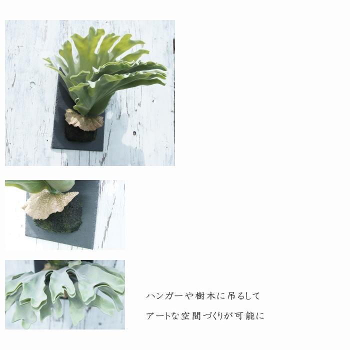 フェイクグリーン ハンギング 大型 壁掛け コウモリラン（ビカクシダ