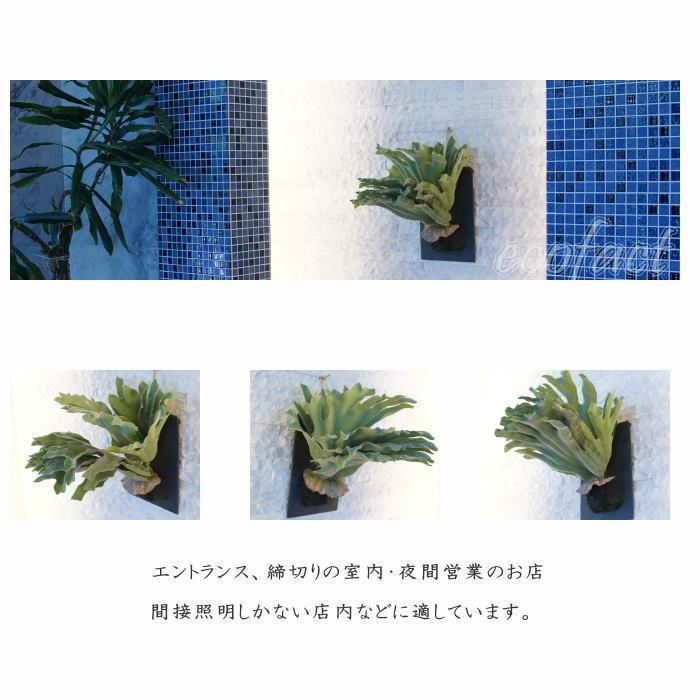 光触媒　人工観葉植物　ウォールグリーン　フェイクグリーン　コウモリランデコ フェイクグリーン ハンギング 大型 壁掛け コウモリラン（ビカクシダ