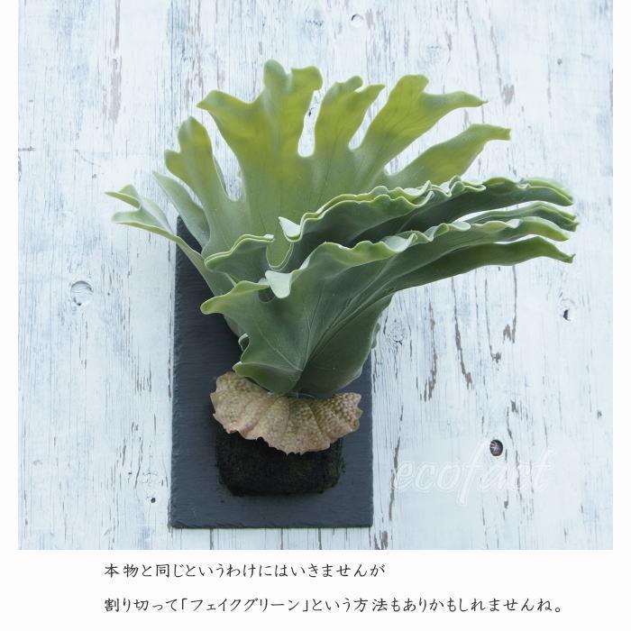 フェイクグリーン ハンギング 大型 壁掛け コウモリラン（ビカクシダ