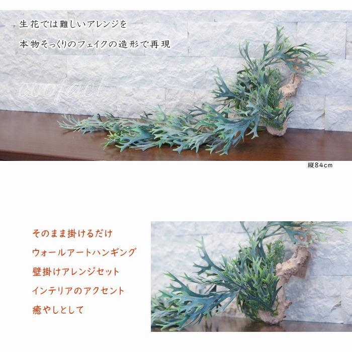 フェイクグリーン ハンギング 大型 壁掛け コウモリラン（ビカクシダ