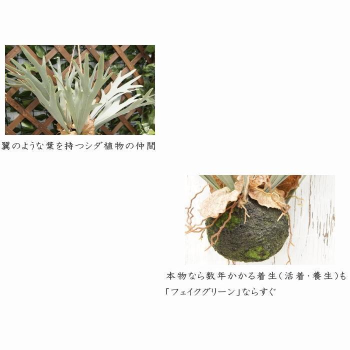 フェイクグリーン ハンギングボール46cm 大型 壁掛け コウモリラン