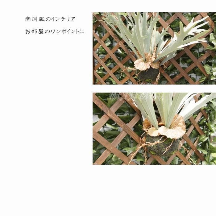 フェイクグリーン ハンギングボール46cm 大型 壁掛け コウモリラン