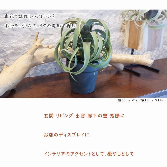 フェイクグリーン キセログラフィカ 30cm ポット エアプランツ