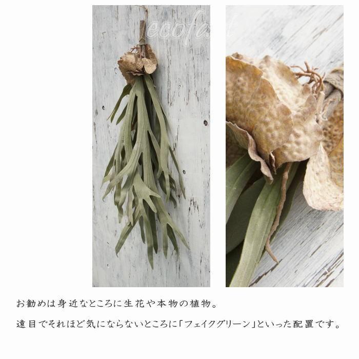 フェイクグリーン 大型 ブランチ 80cm コウモリラン（ビカクシダ