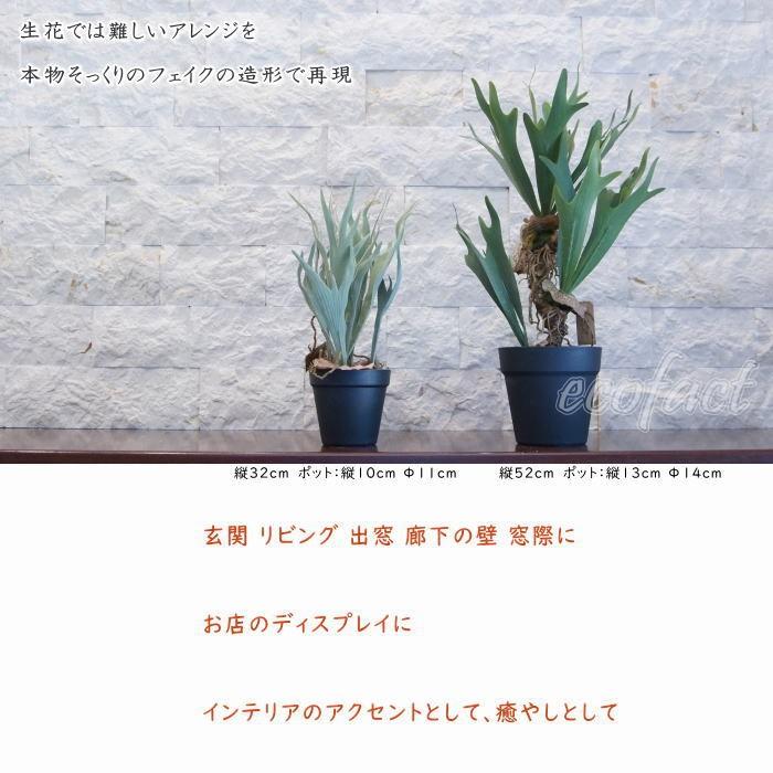 フェイクグリーン コウモリラン コロナリウム（ビカクシダ）52cm