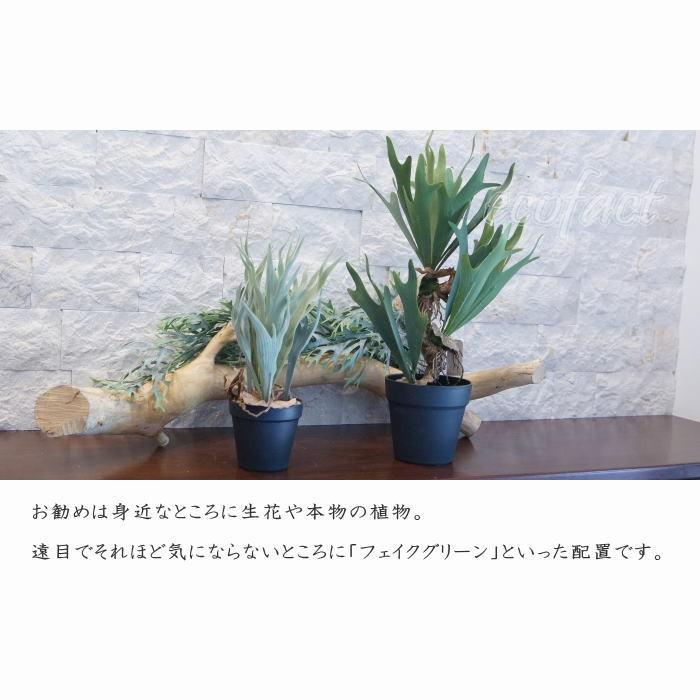 フェイクグリーン コウモリラン コロナリウム（ビカクシダ）52cm