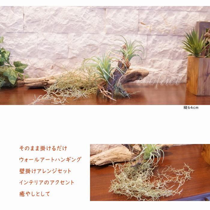 フェイクグリーン ハンギング 大型 壁掛け アレンジメント養生