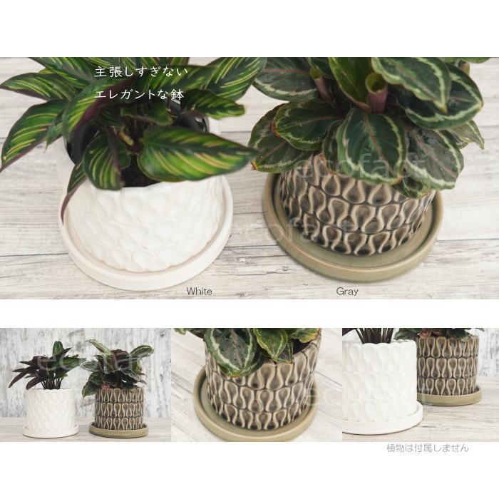 おしゃれ フラワーポット 陶器鉢 植木鉢 ミニポット 底穴あり ドロップ