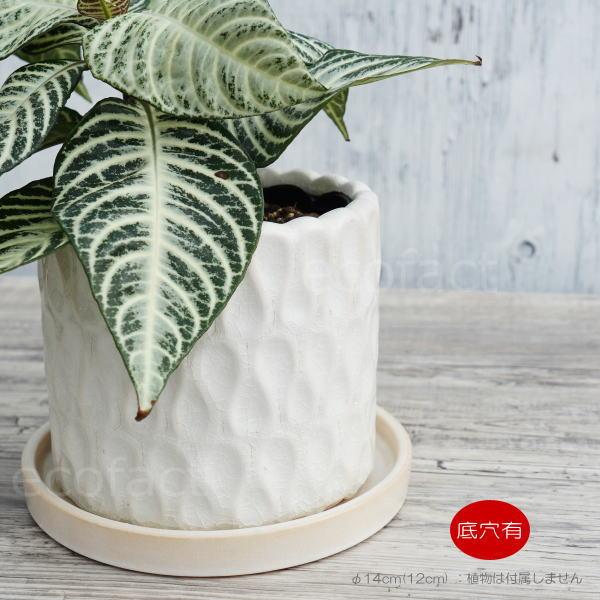 おしゃれ フラワーポット 陶器鉢 植木鉢 ミニポット 底穴あり ドロップ