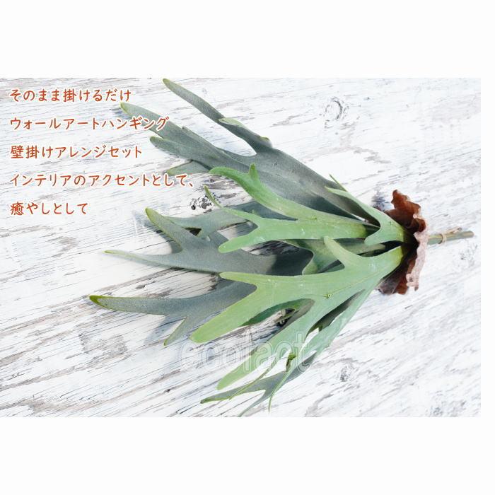 フェイクグリーン ハンギングブッシュ コウモリラン（ビカクシダ）50cm
