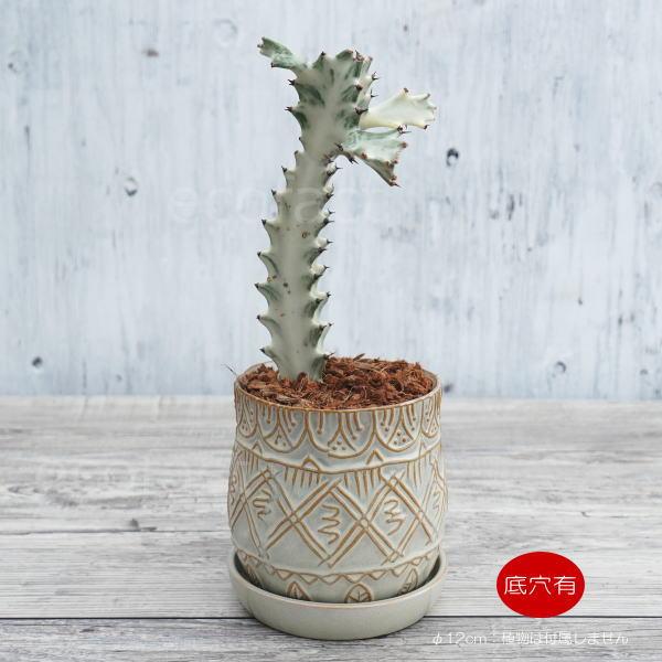 おしゃれ フラワーポット 陶器鉢 植木鉢 ミニポット 底穴あり