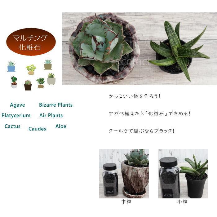 化粧石 観葉植物 飾り石 中粒（約1cm〜1.5cm）ブラック 黒 （艶少なめ