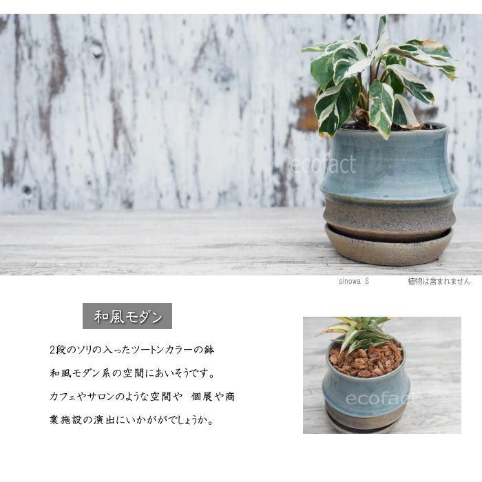 植木鉢 おしゃれ 陶器鉢 フラワーポット ミニポット 底穴あり sinowa s