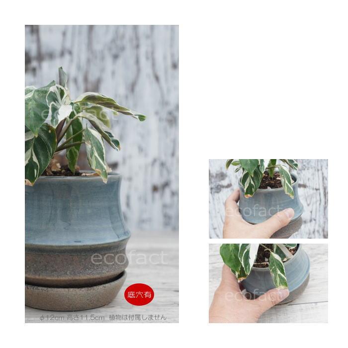植木鉢 おしゃれ 陶器鉢 フラワーポット ミニポット 底穴あり sinowa s