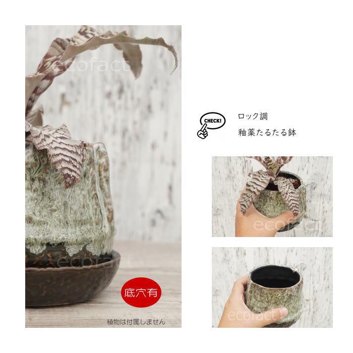 植木鉢 おしゃれ 陶器鉢 フラワーポット ミニポット 底穴あり ロック