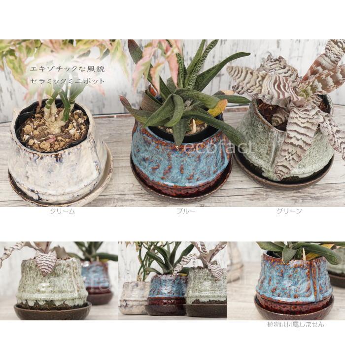 植木鉢 おしゃれ 陶器鉢 フラワーポット ミニポット 底穴あり ロック