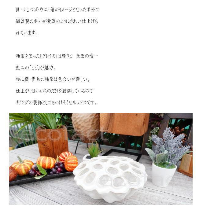 ポット 鉢 植木鉢 プランター おしゃれ 陶器 ホワイト ロータスボウル