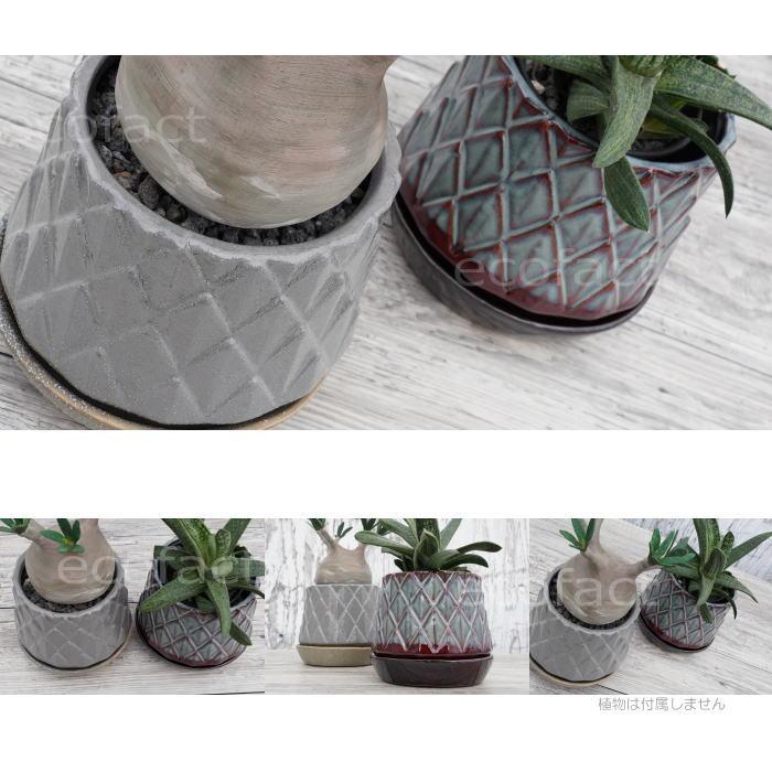 陶器鉢 植木鉢 ミニポット 皿付 パインコーンブラウン φ12cm（15cm