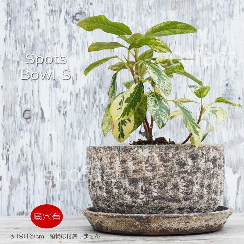 ポット 鉢 植木鉢 プランター おしゃれ 陶器 φ19cm スポッツ