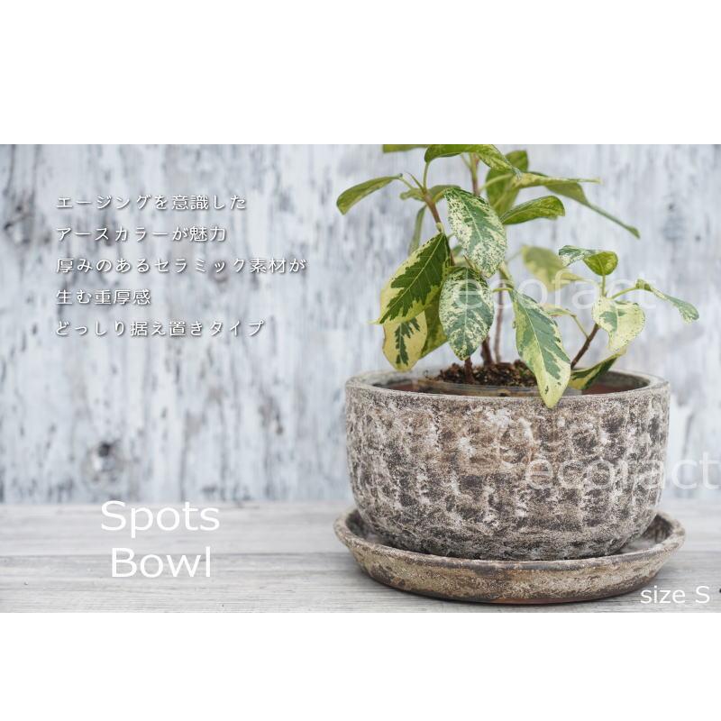 ポット 鉢 植木鉢 プランター おしゃれ 陶器 φ19cm スポッツ