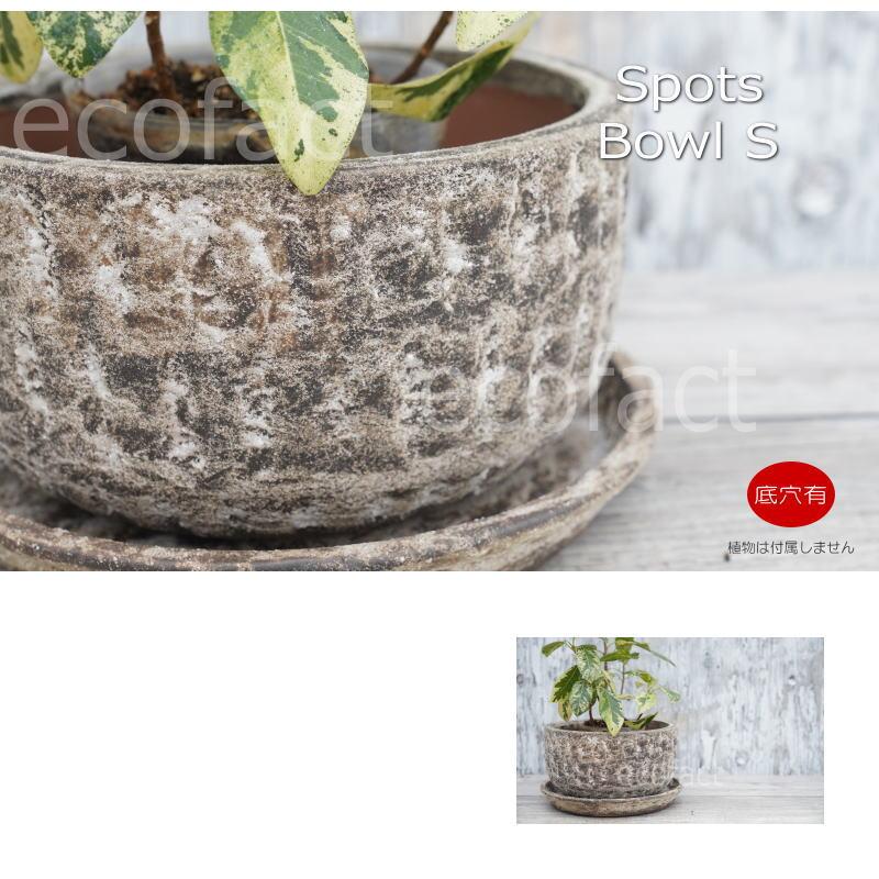 ポット 鉢 植木鉢 プランター おしゃれ 陶器 φ19cm スポッツボウル