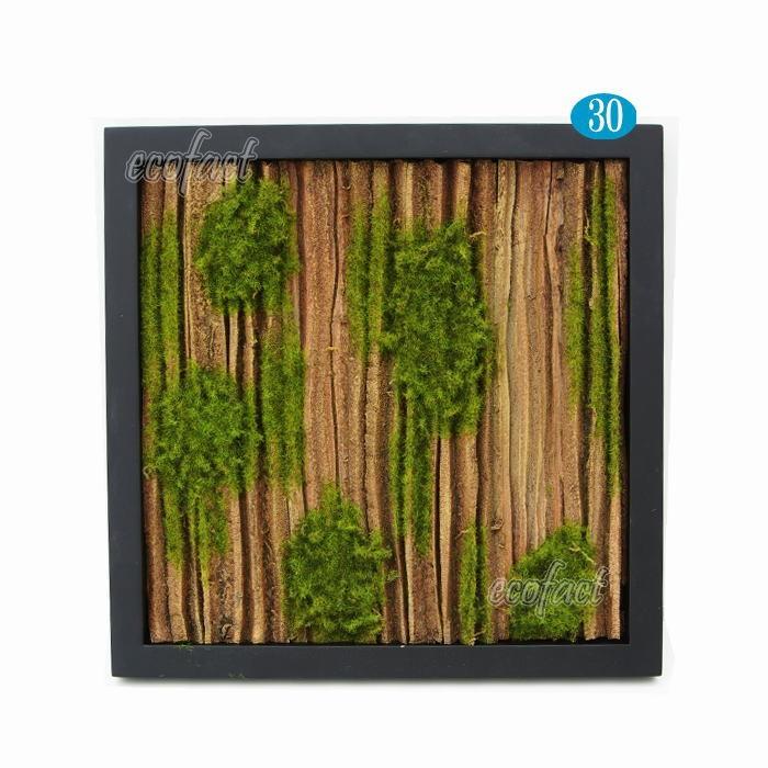 フェイクグリーン壁掛けアートフレーム62×62 送料無料】 ベルク