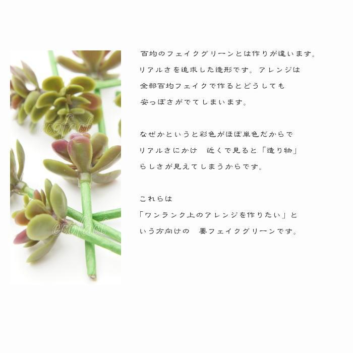 賑わいセット 3種 全26個 多肉植物ピック フェイクグリーン アレンジ 人工観葉植物 おしゃれ ウォールアート 造花 壁面緑化 パネル 壁掛け Y 1571 エリア27 通販 Yahoo ショッピング