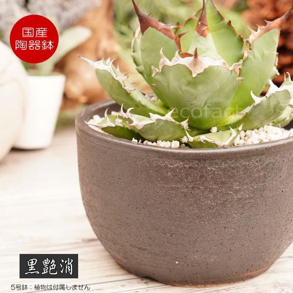 植木鉢 鉢 盆栽鉢 多肉植物 塊根植物等用まとめ売り 陶器鉢 植木鉢 5号 丸型 艶消し 黒 ブラック おしゃれ プランター 園芸