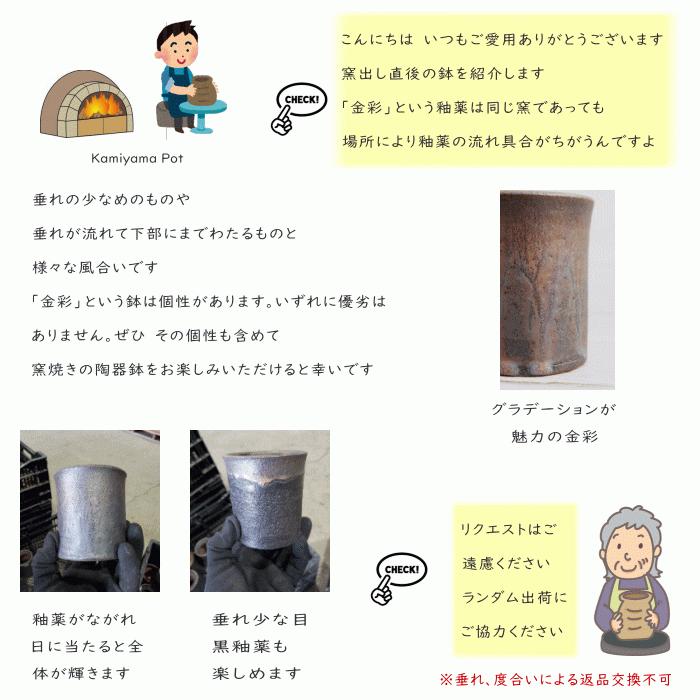 陶器鉢 植木鉢 6号 丸型 金彩 ゴールド/ブラック おしゃれ プランター