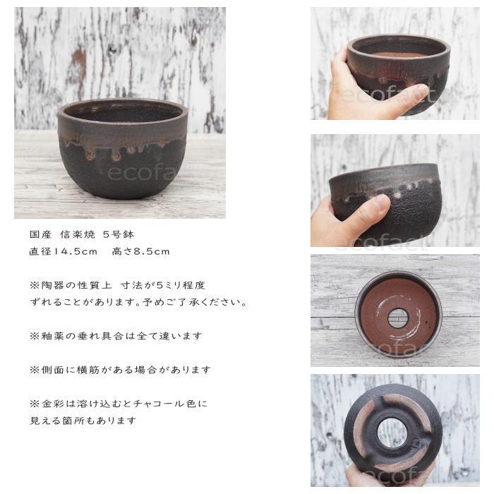 陶器鉢 植木鉢 5号 丸型 金彩 ゴールド/ブラック おしゃれ 陶器鉢 植木鉢 5号 丸型 金彩 ゴールド/ブラック おしゃれ