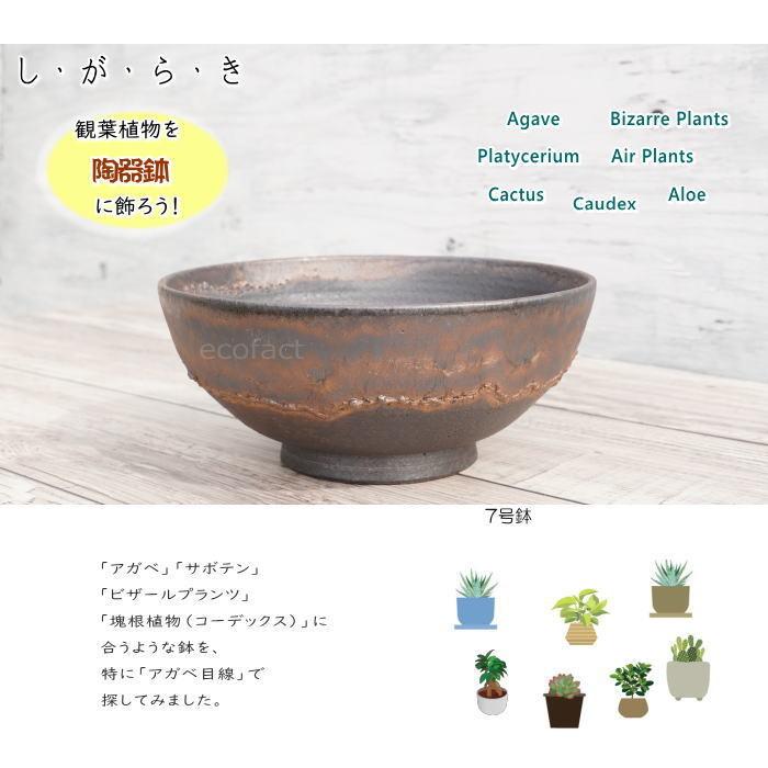 陶器鉢 植木鉢 7号 ワン型 金彩 ゴールド/ブラック おしゃれ 陶器鉢 植木鉢 7号 ワン型 金彩 ゴールド/ブラック おしゃれ