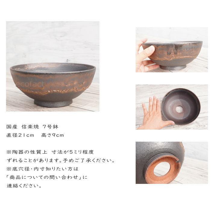 陶器鉢 植木鉢 7号 ワン型 金彩 ゴールド/ブラック おしゃれ 陶器鉢 植木鉢 7号 ワン型 金彩 ゴールド/ブラック おしゃれ
