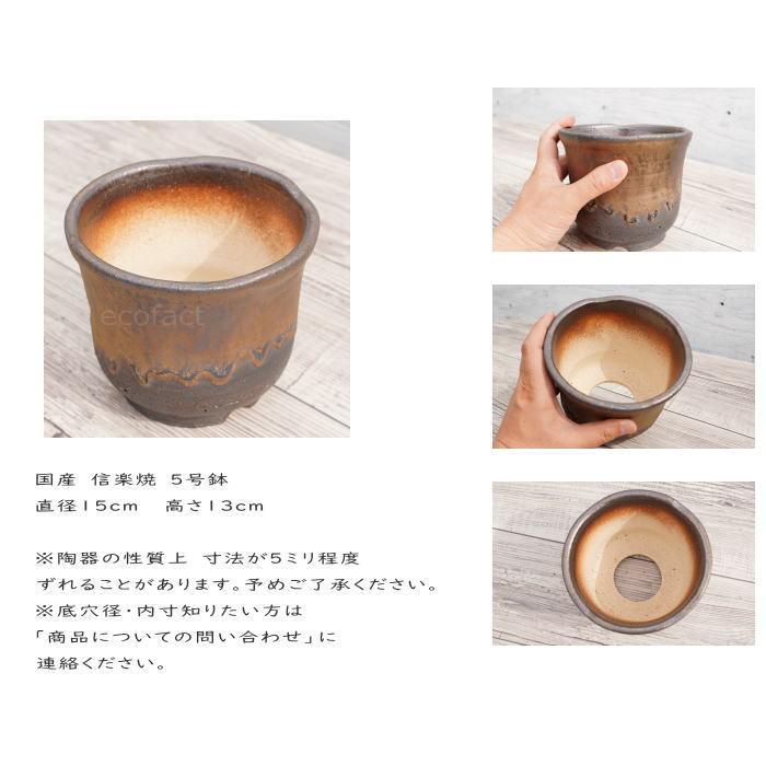 陶器鉢 植木鉢 5号 中深型 金彩 ゴールド/ブラック プランター 園芸鉢