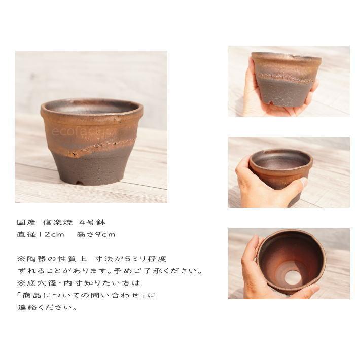 陶器鉢 植木鉢 4号 丸中深型 金彩 ゴールド/ブラック プランター 園芸